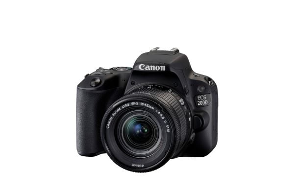 Canon Digital Cameras for Core Photography